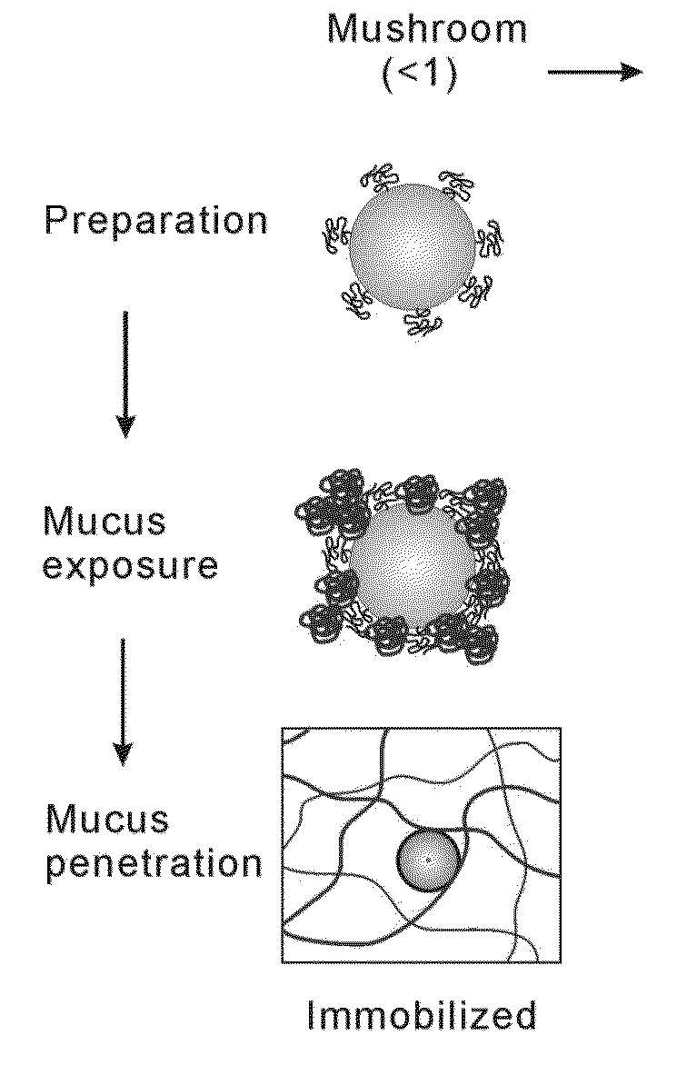 Nanoparticles with enhanced mucosal penetration or decreased inflammation