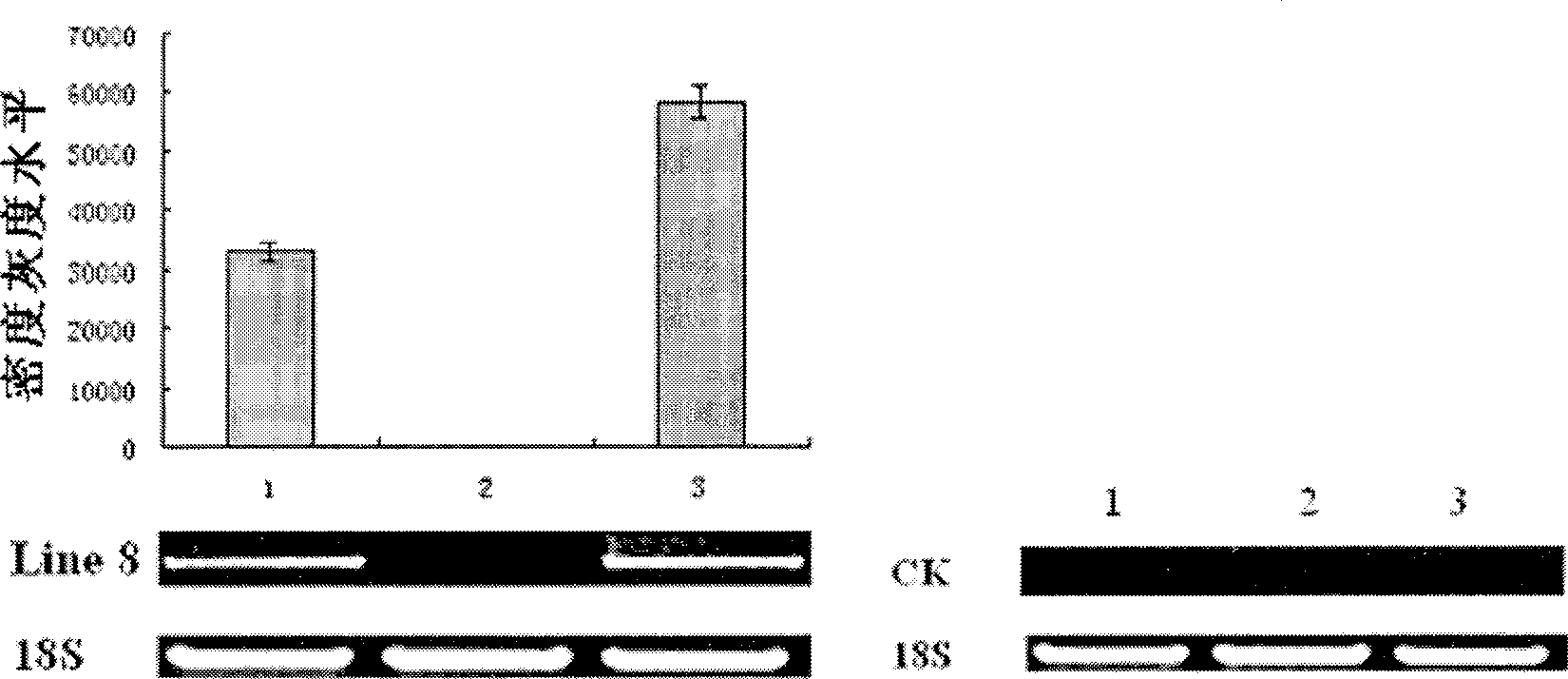 4 connecting body thymosin alpha 1 gene order and preparation method of transgene tomato