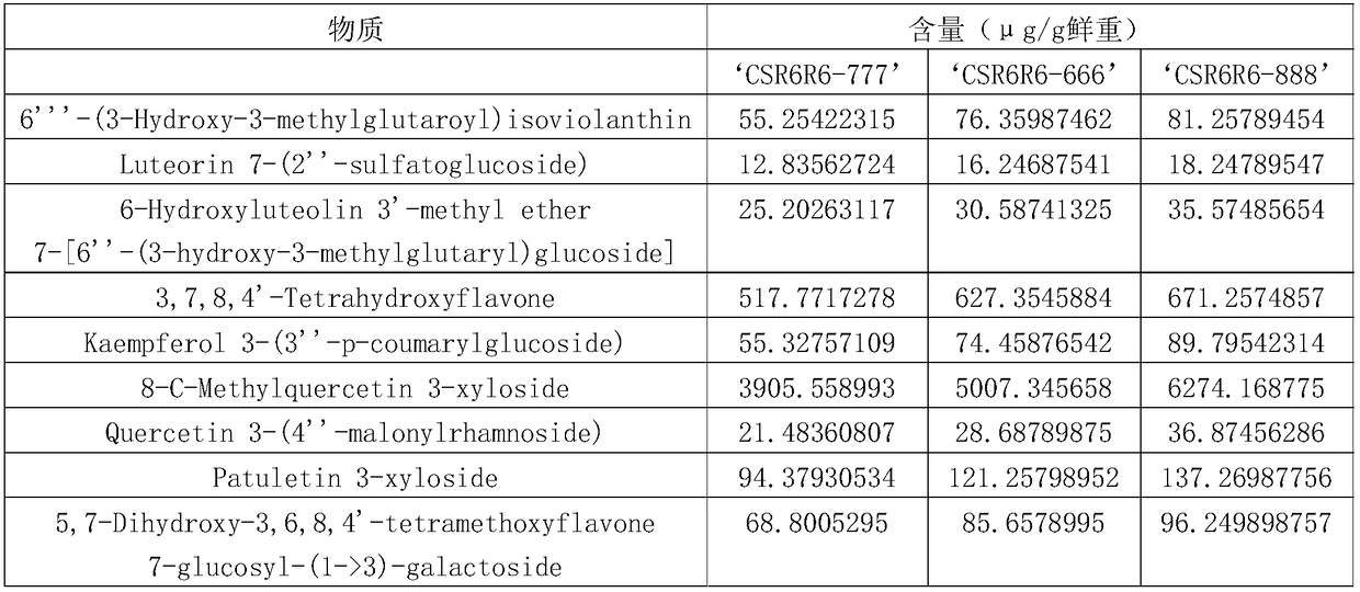 Dry high type high flavonoid cider and preparation method thereof