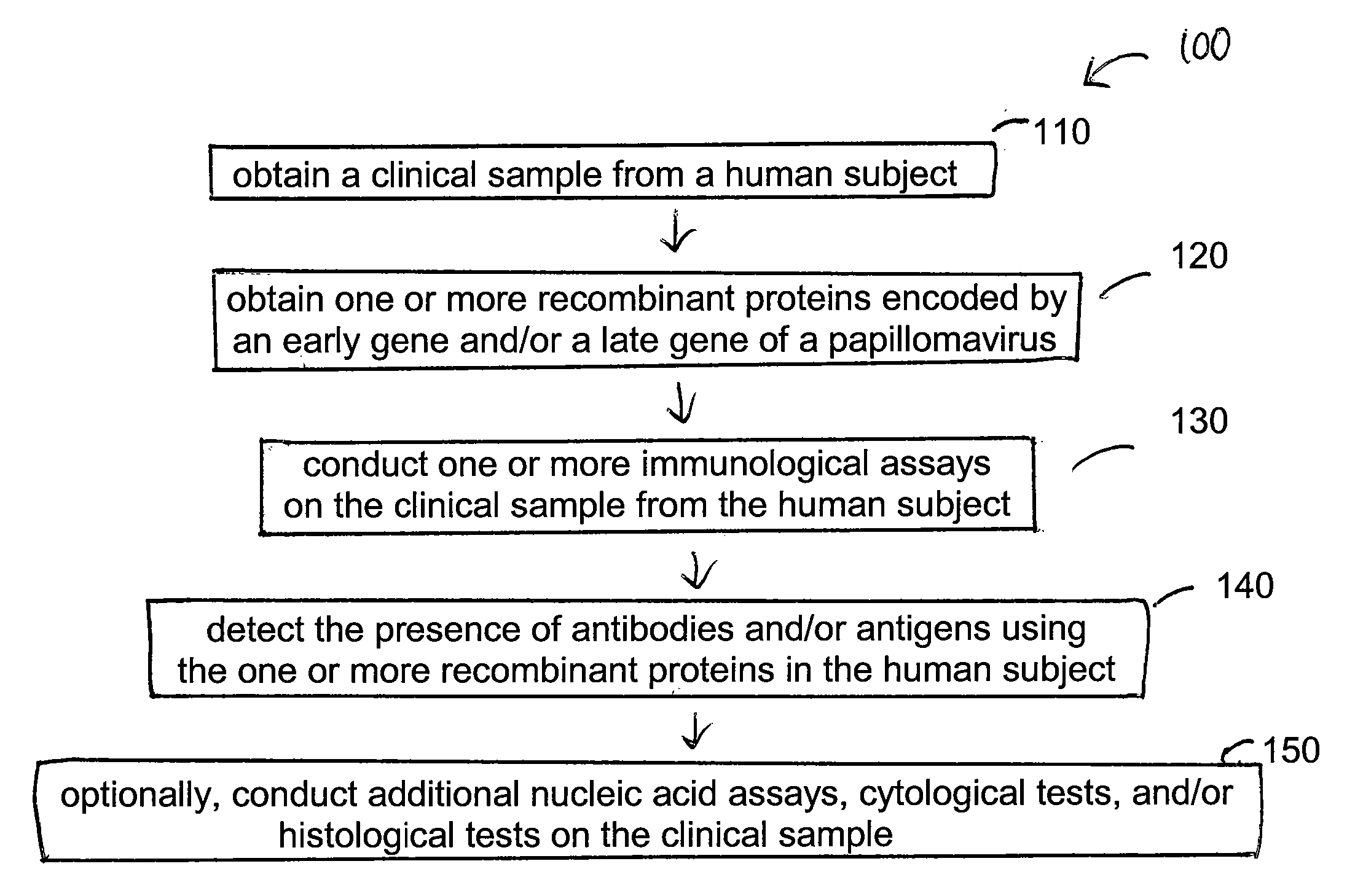 Detection method for human pappilomavirus (HPV) and its application in cervical cancer