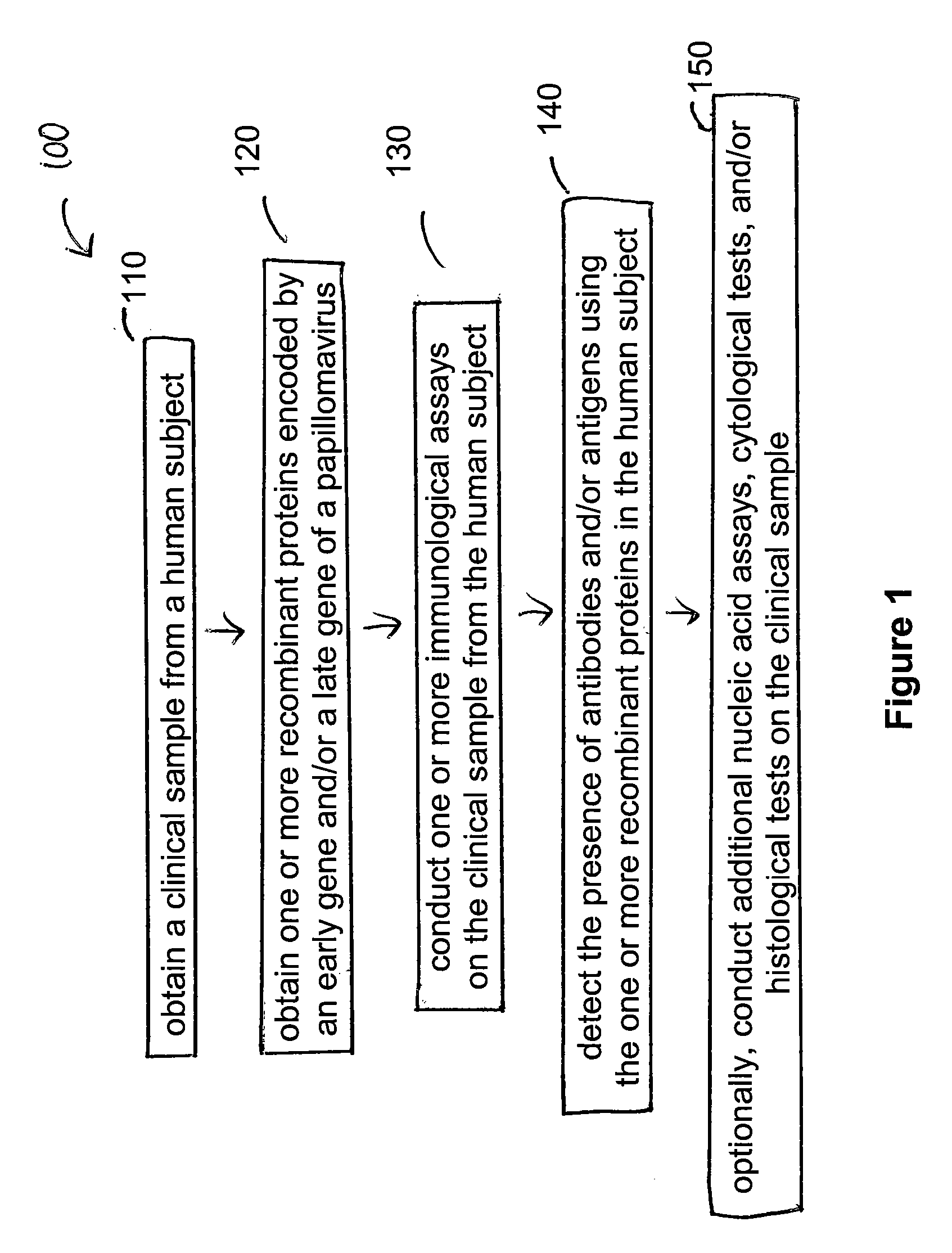 Detection method for human pappilomavirus (HPV) and its application in cervical cancer