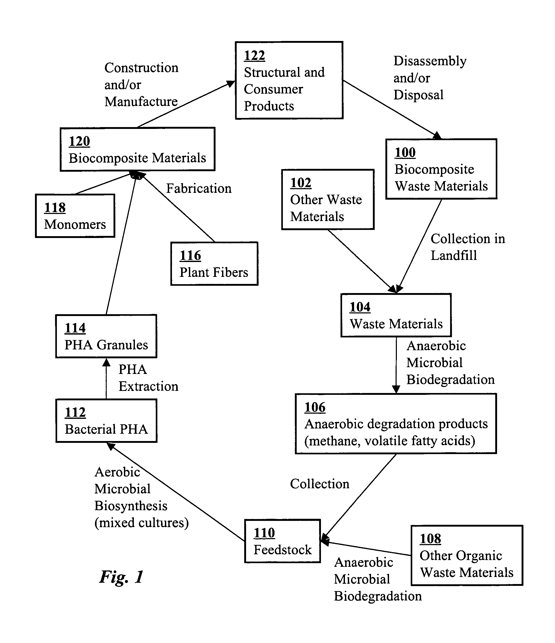 Bacterial poly(hydroxy alkanoate) polymer and natural fiber composites