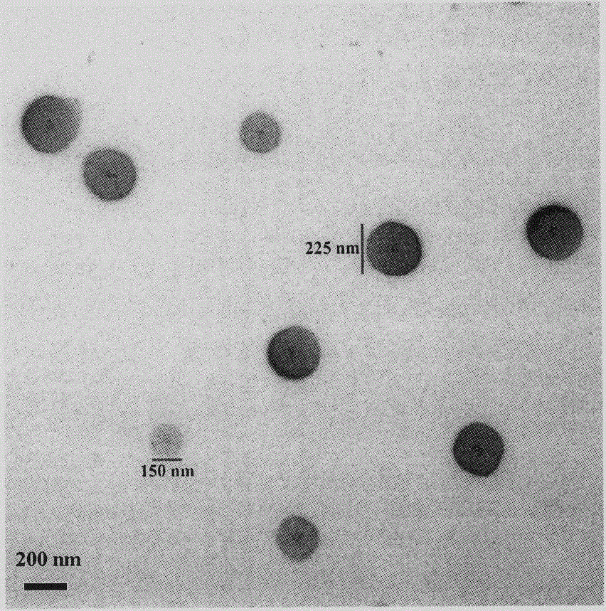 LPNISKP modified beta-carboline, preparation therefor, nanostructure, activity and application thereof