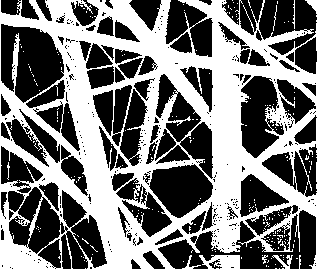 An electrostatically spun chitosan nano-fiber film for adsorption of heavy metal ions and a preparation method thereof