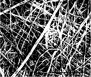 An electrostatically spun chitosan nano-fiber film for adsorption of heavy metal ions and a preparation method thereof