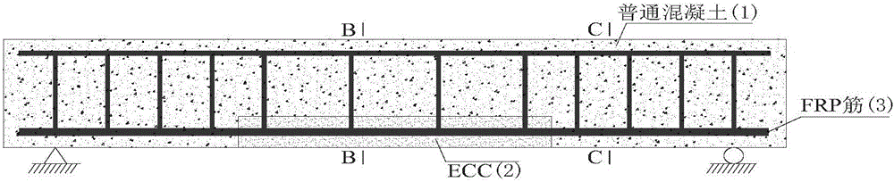 Fiber reinforced composite material rib and concrete composite beam