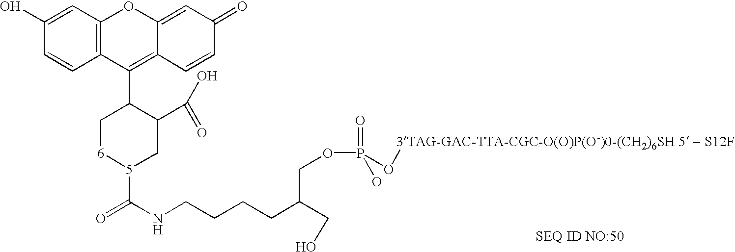 Nanoparticles having oligonucleotides attached thereto and uses therefor