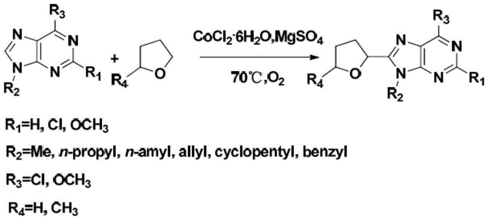 Novel C8-heterocyclic alkylated purine nucleoside analogue and synthetic method thereof