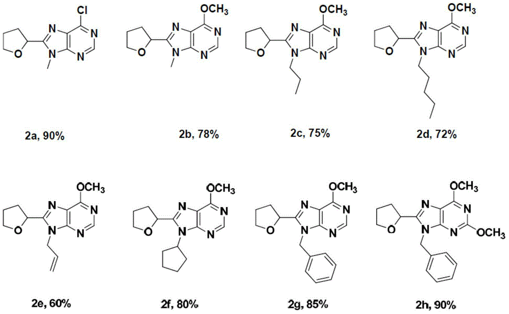 Novel C8-heterocyclic alkylated purine nucleoside analogue and synthetic method thereof