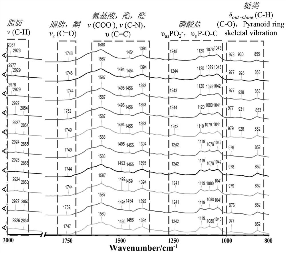 Method for rapidly and qualitatively detecting chemical components in marinated meat soup