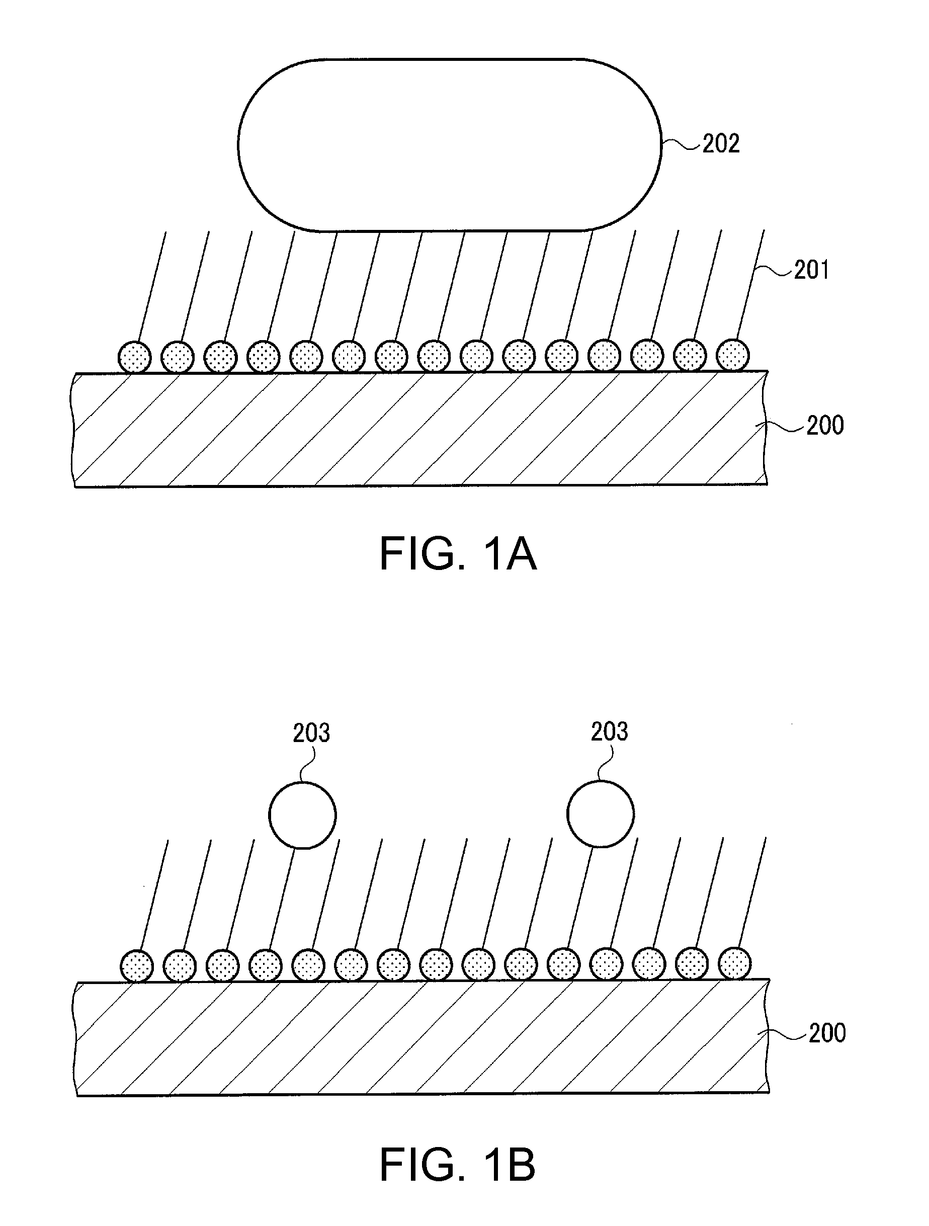 Optical device, detection apparatus, electronic apparatus, and method for producing optical device