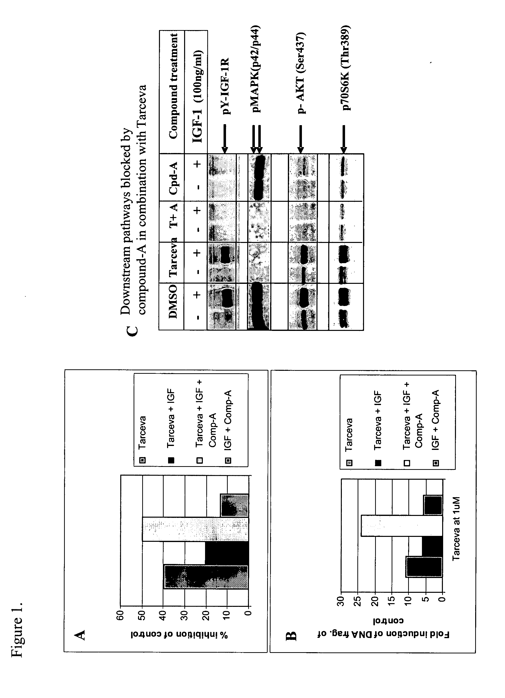 Combined treatment with 6,6-bicyclic ring substituted heterobicyclic protein kinase inhibitor and anti-cancer agents