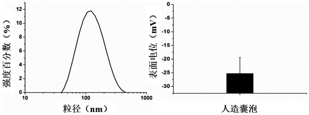 Nucleic acid aptamer delivery vector and preparation method and application thereof