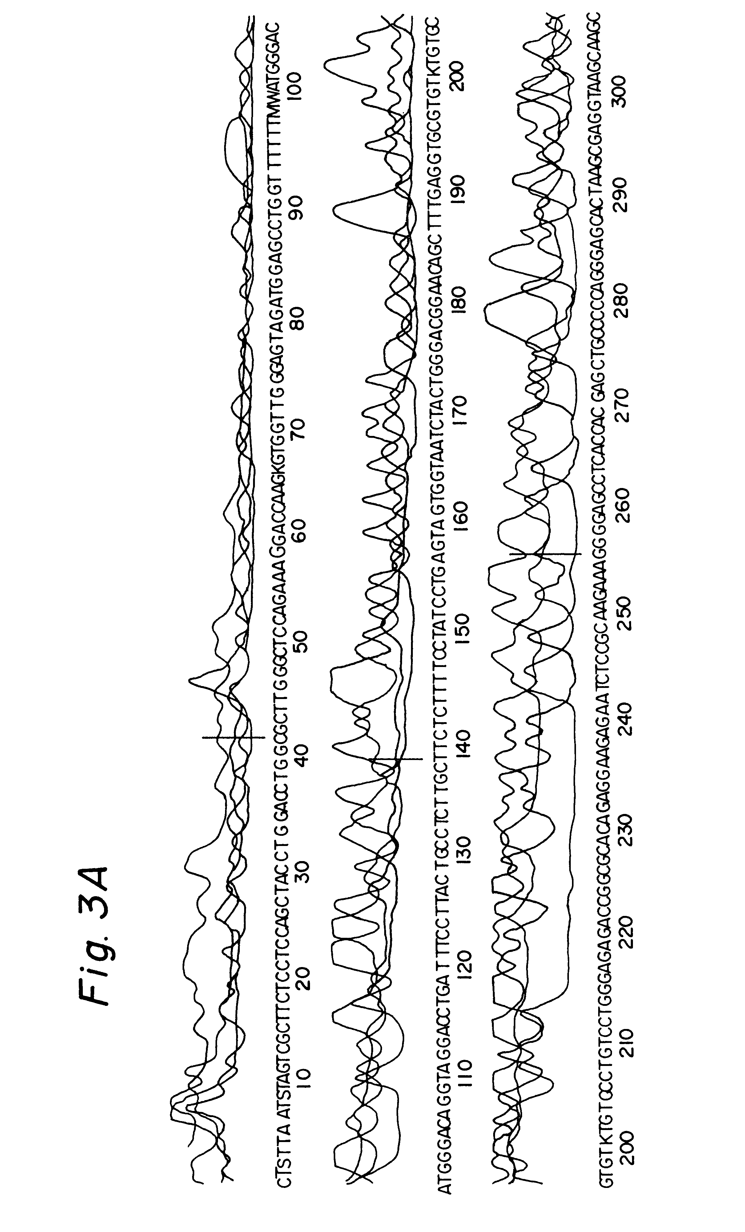 Method for the direct, exponential amplification and sequencing of DNA molecules and its application