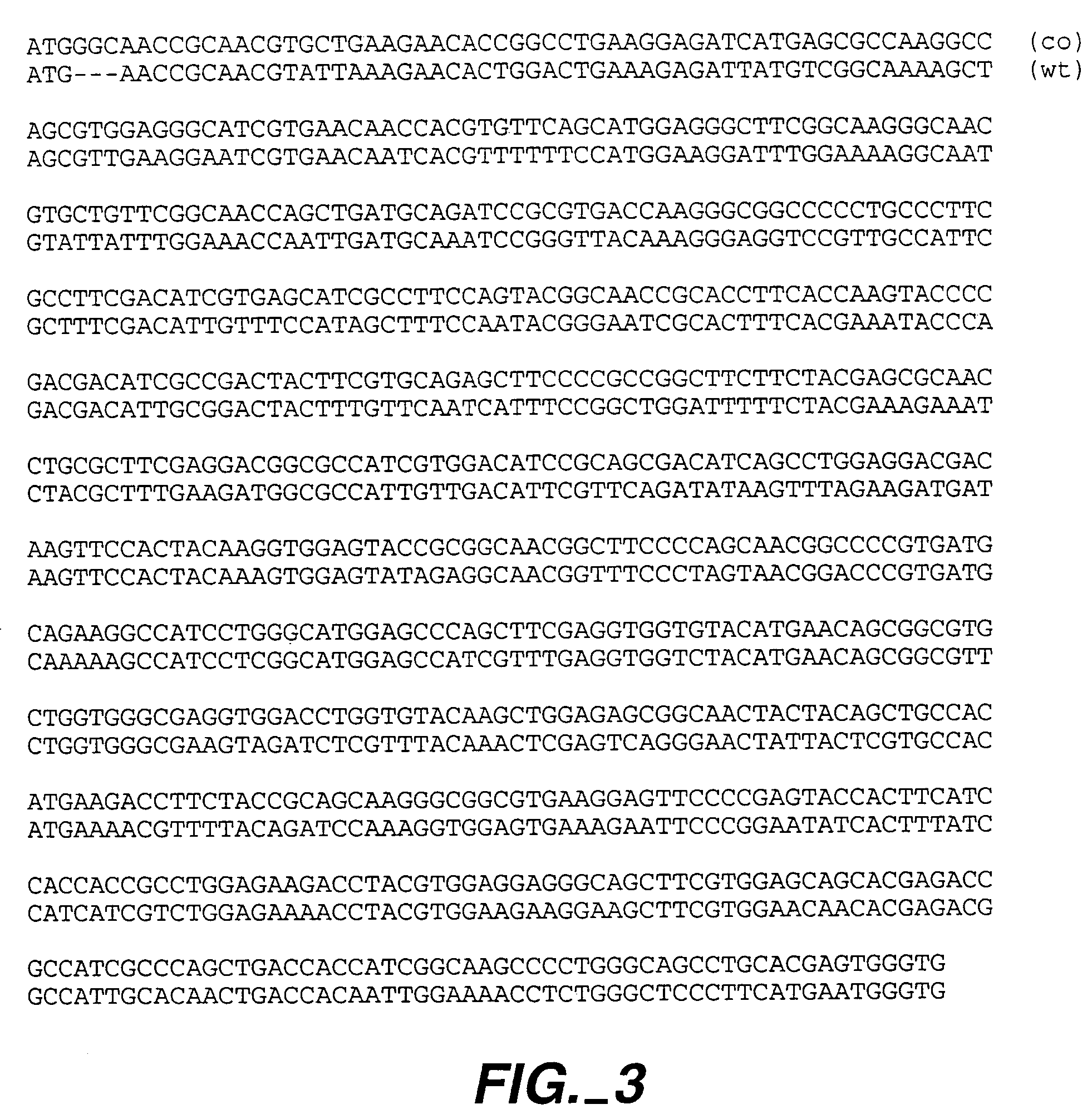 Methods and compositions comprising Renilla GFP