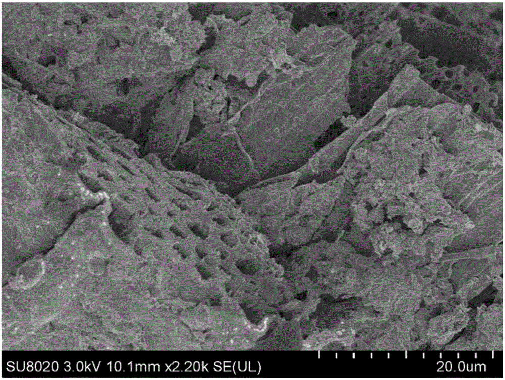 Fe/C composite porous structure material as well as preparation method and application thereof