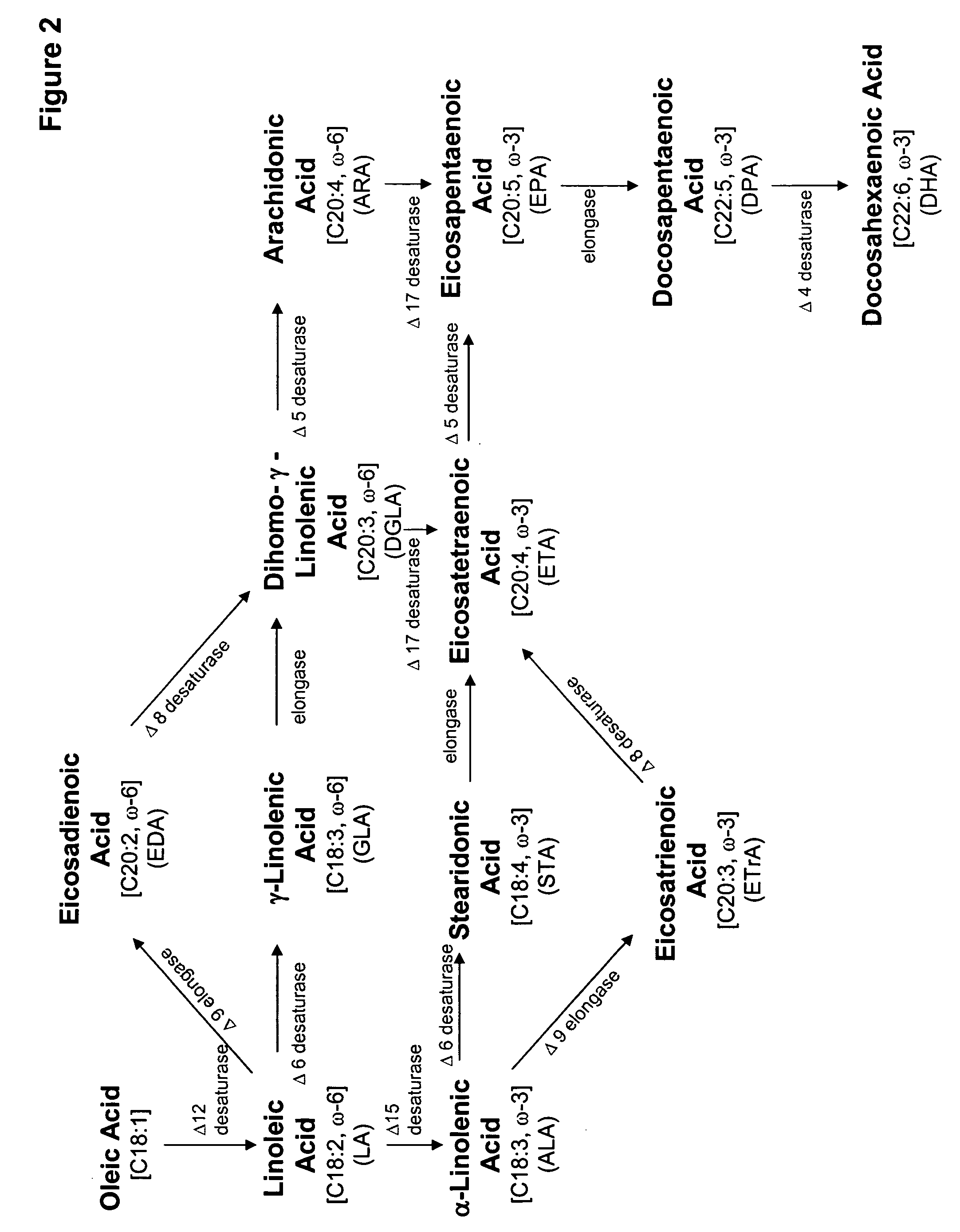 Acyltransferases for alteration of polyunsaturated fatty acids and oil content in oleaginous yeasts