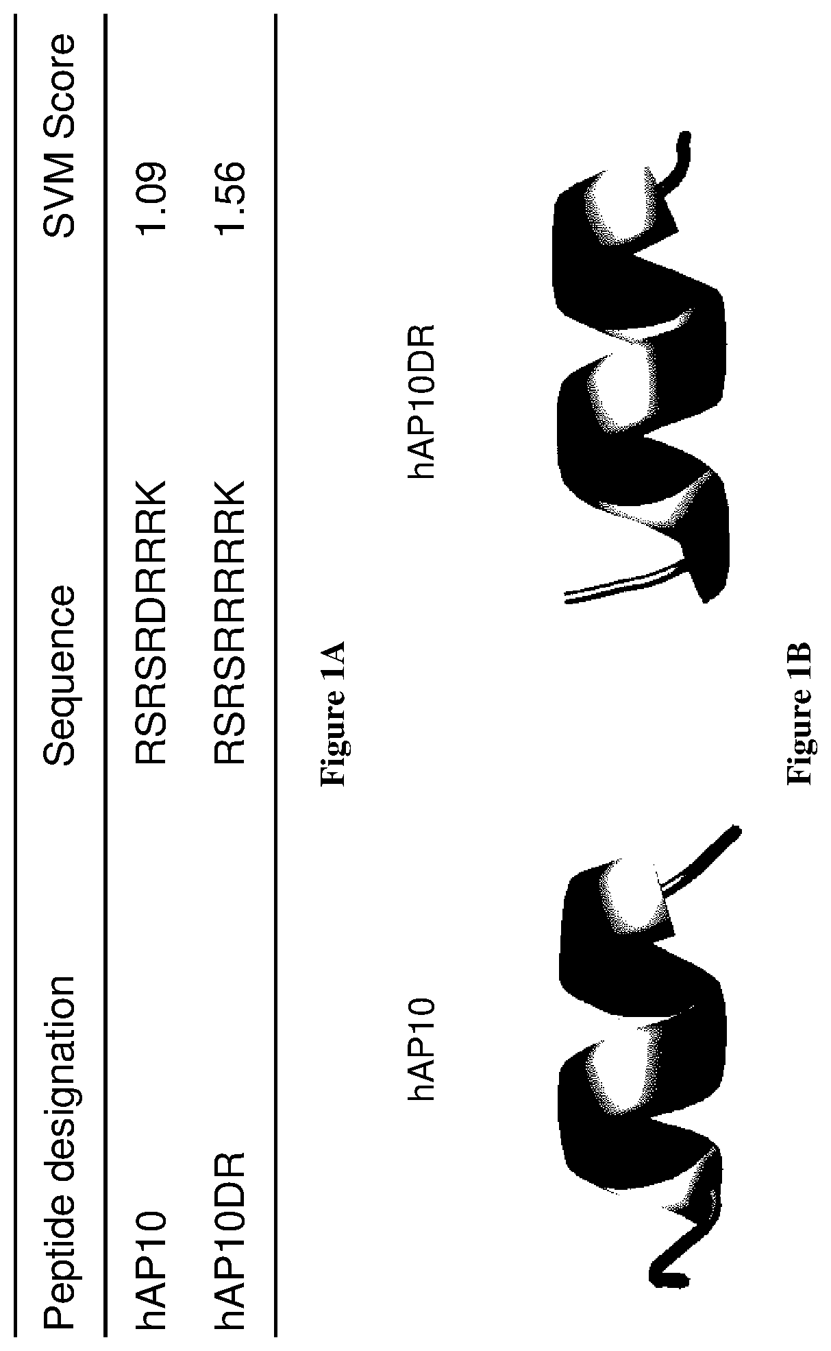 Cell penetrating peptides for intracellular delivery of molecules