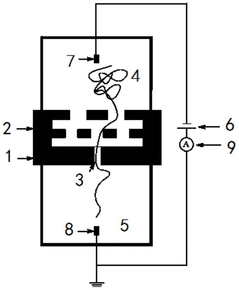 Nano hole detection system based on micro/nano hole net integrated structure and preparation method of nano hole detection system