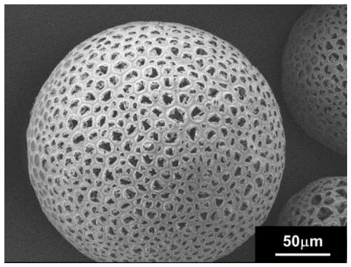 Microbeads and preparing method and application thereof