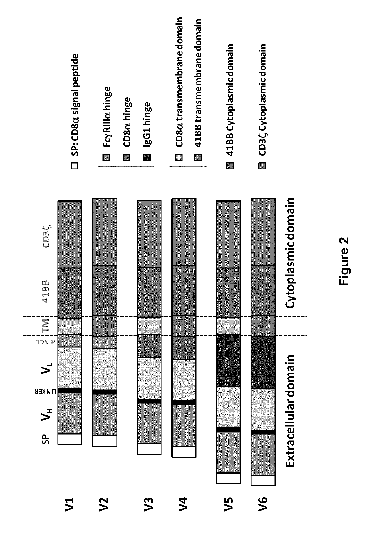 BCMA (CD269) specific chimeric antigen receptors for cancer immunotherapy