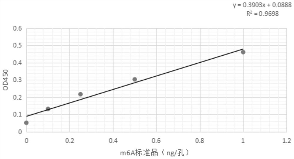 RNA methylation m6A detection method and reagent kit