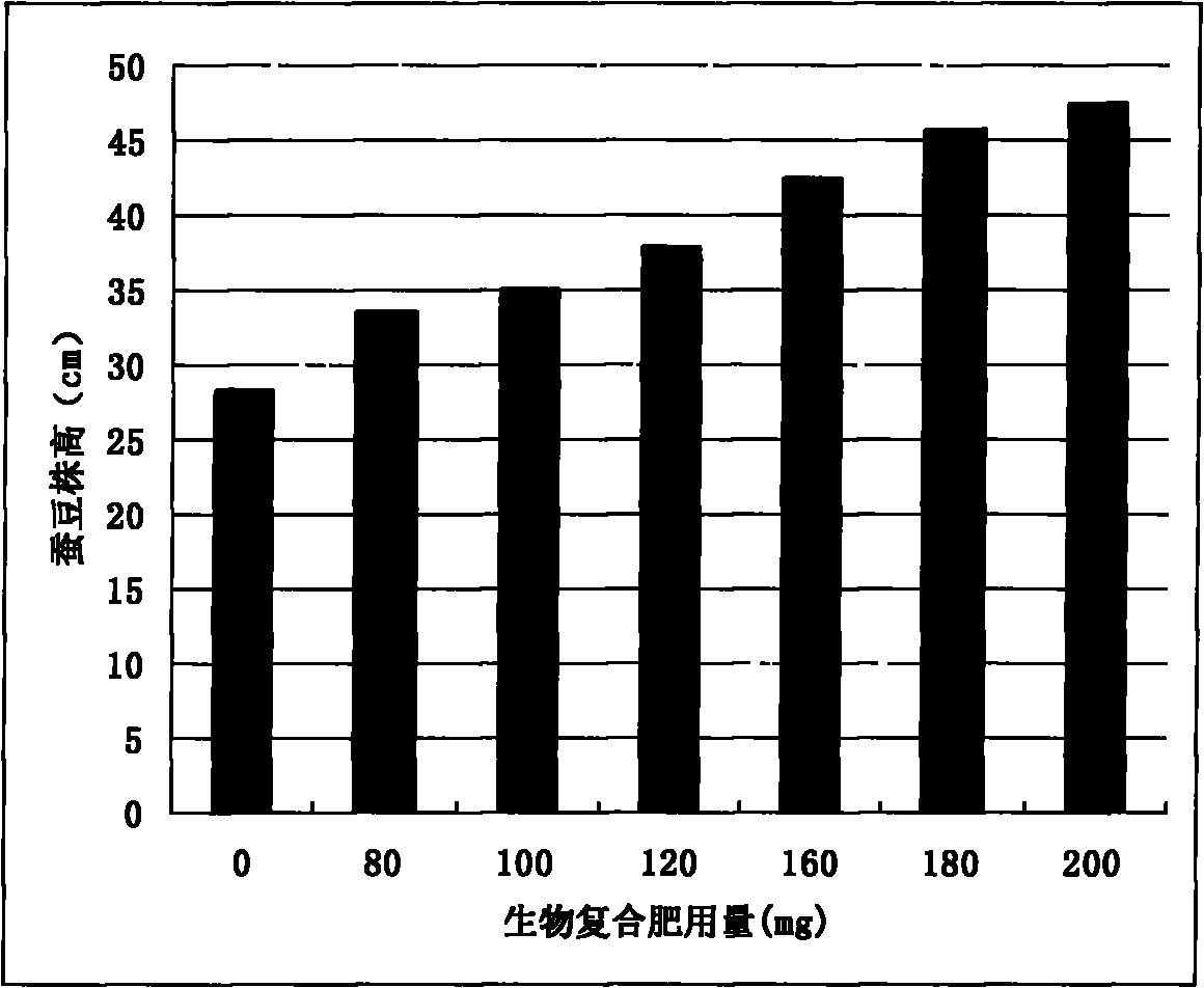 Horsebean biological compound fertilizer prepared from ardealite, preparation method thereof and use thereof