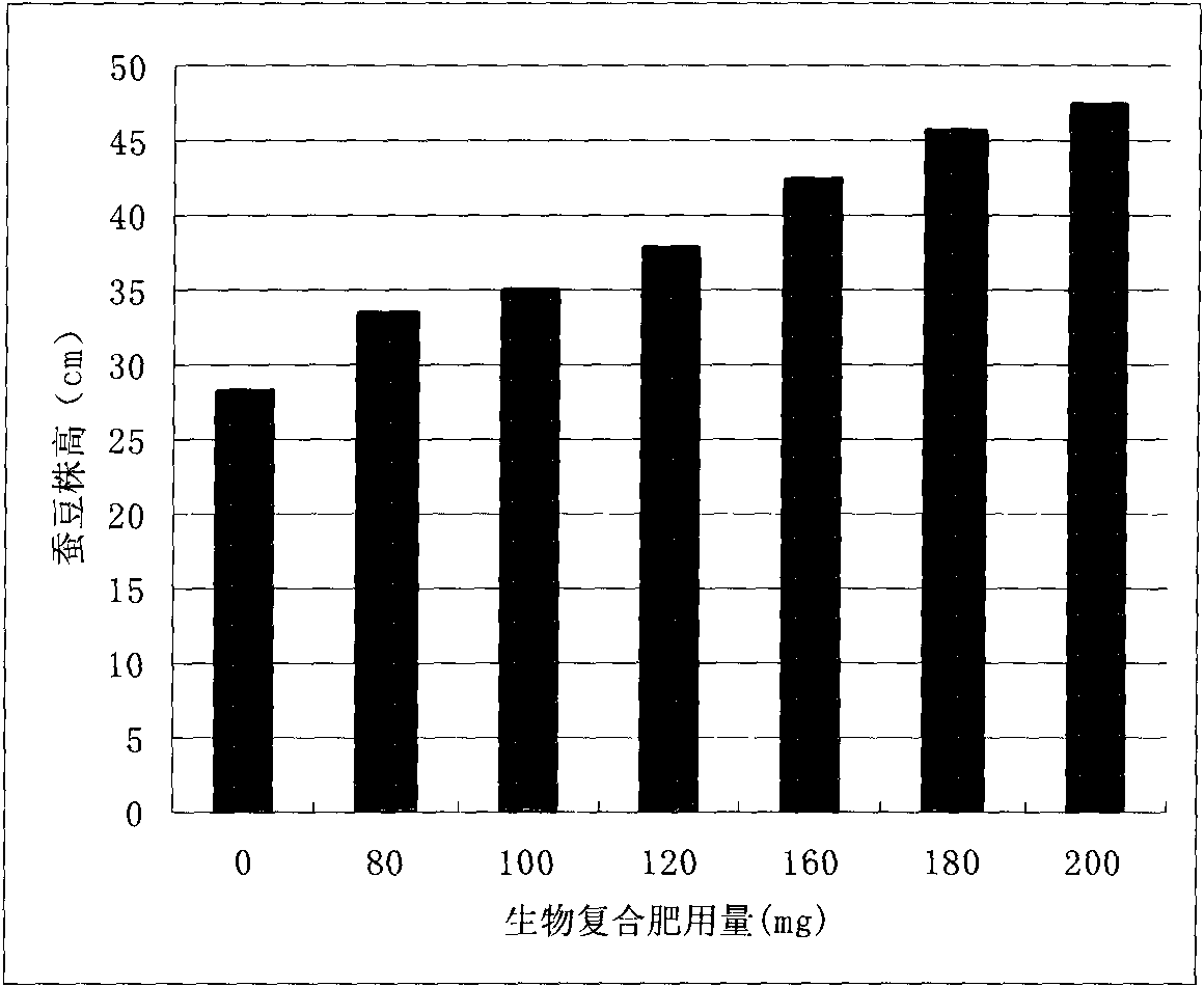 Horsebean biological compound fertilizer prepared from ardealite, preparation method thereof and use thereof