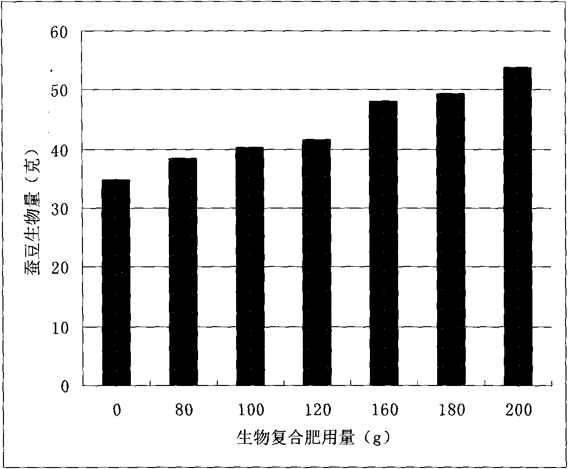 Horsebean biological compound fertilizer prepared from ardealite, preparation method thereof and use thereof