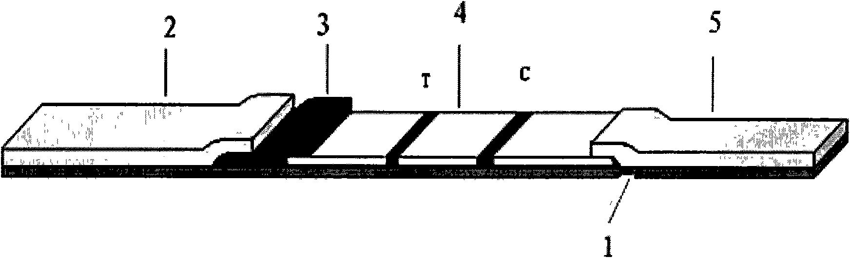 FN test paper for quickly diagnosing bladder cancer and application thereof