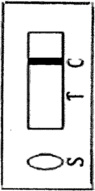 FN test paper for quickly diagnosing bladder cancer and application thereof