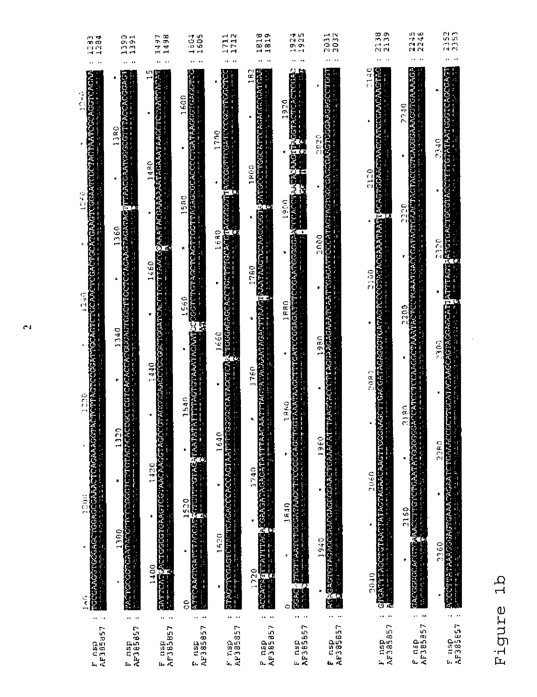 Bacterium and vaccine