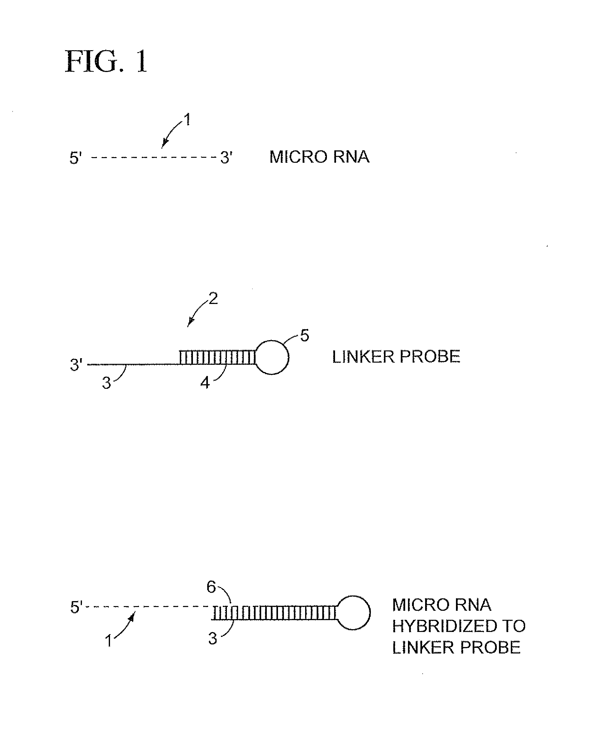 Methods, compositions, and kits comprising linker probes for quantifying polynucleotides