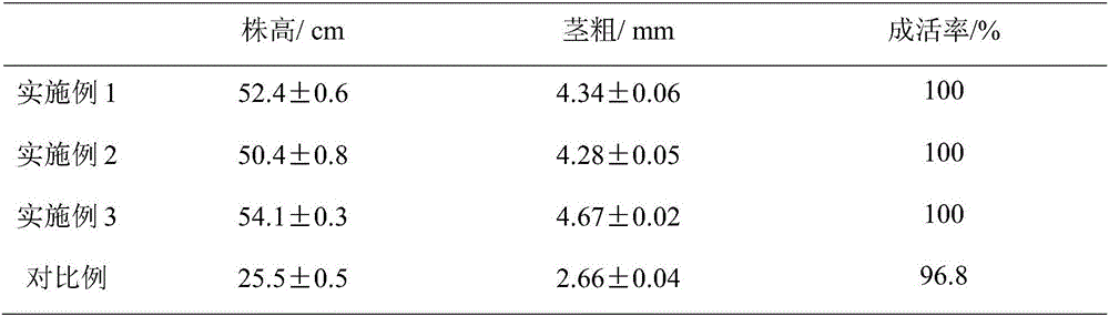 Sugar orange container nursery substrate and preparation method thereof