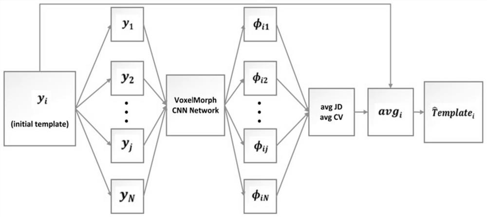 Method for constructing brain atlas based on differential geometry technology