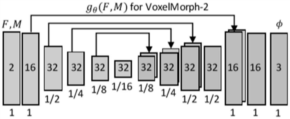 Method for constructing brain atlas based on differential geometry technology