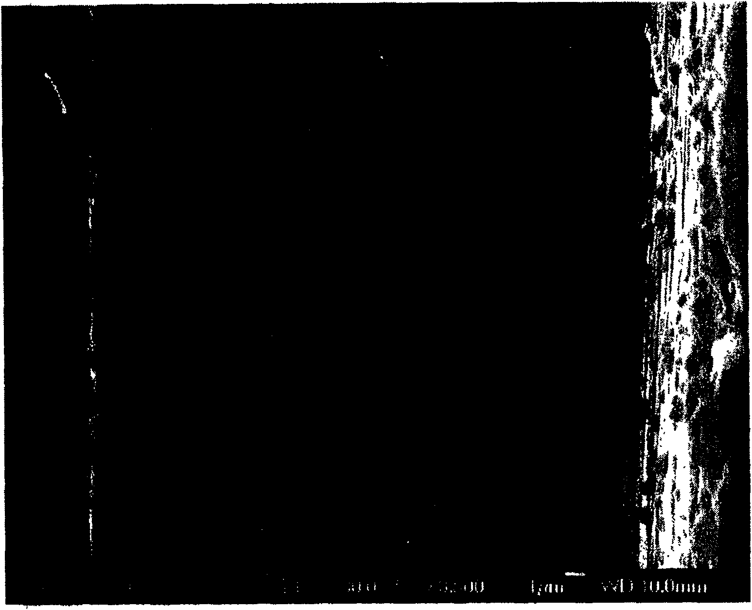 Nano-wire in-situ stretching device in scanning electron microscope and method therefor