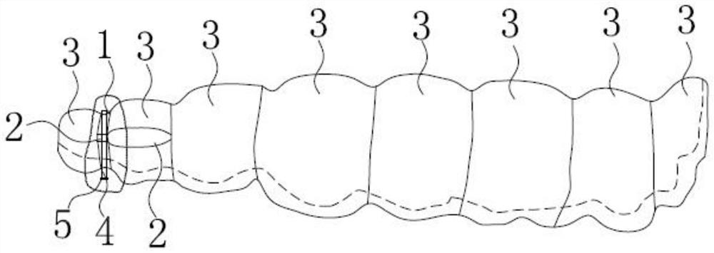 Auxiliary eruption guiding device for invisible appliance