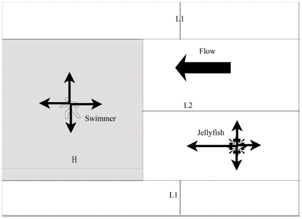 A method for estimating the risk of jellyfish injury