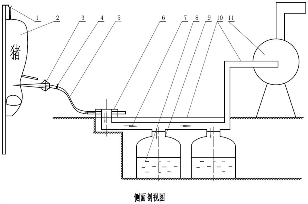 Vacuum sterile blood collection and recovery device