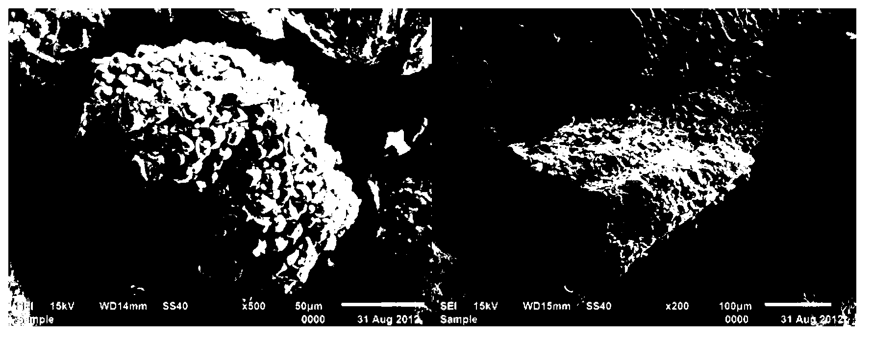 Method for improving precipitation performance of filamentous bulking sludge