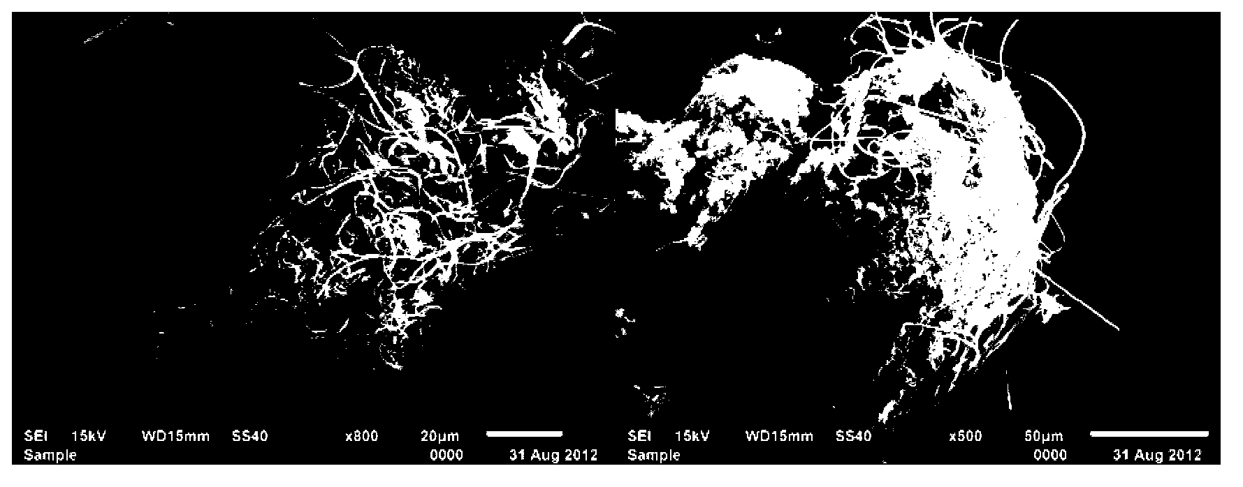 Method for improving precipitation performance of filamentous bulking sludge