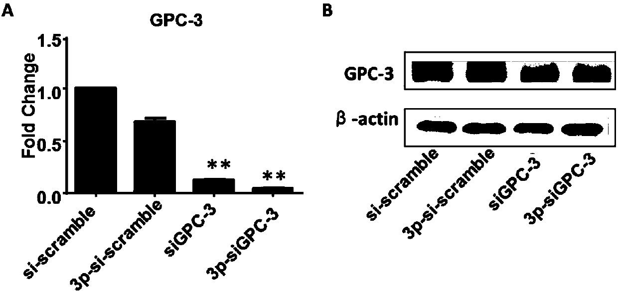 Difunctional 5'-tri-phosphate siGPC-3, preparation method and application thereof