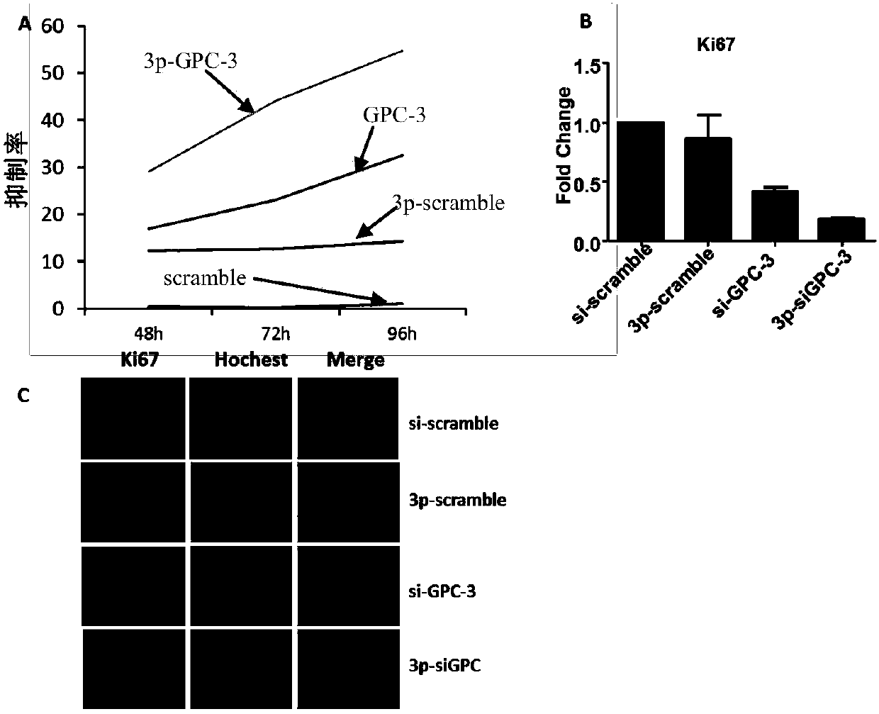 Difunctional 5'-tri-phosphate siGPC-3, preparation method and application thereof