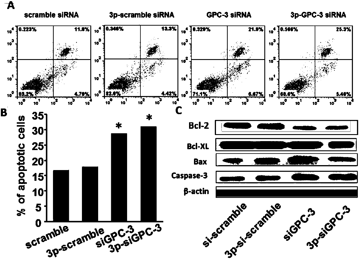 Difunctional 5'-tri-phosphate siGPC-3, preparation method and application thereof