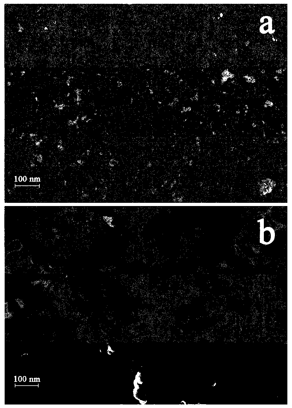 Method for immobilizing protein by using biofilm