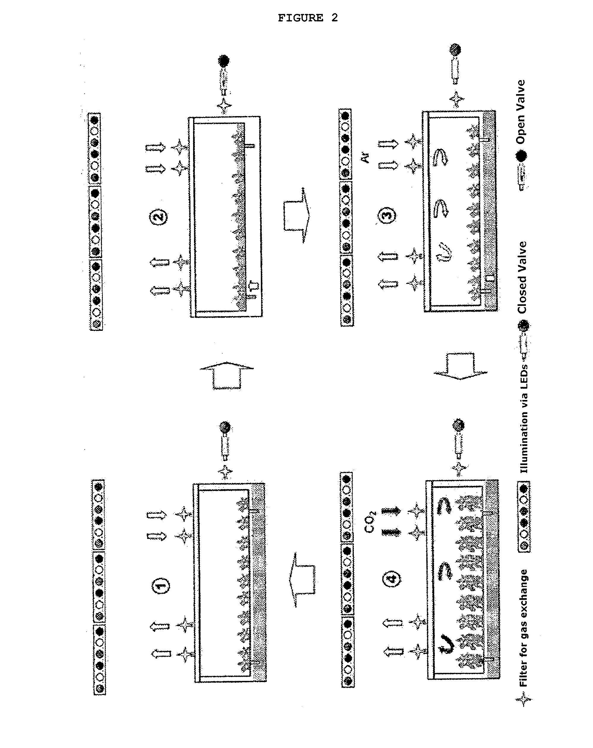 Method for the in vitro micropropagation of plant material and method for large-scale and large-volume production of cloned plant seedlings ready for field growth