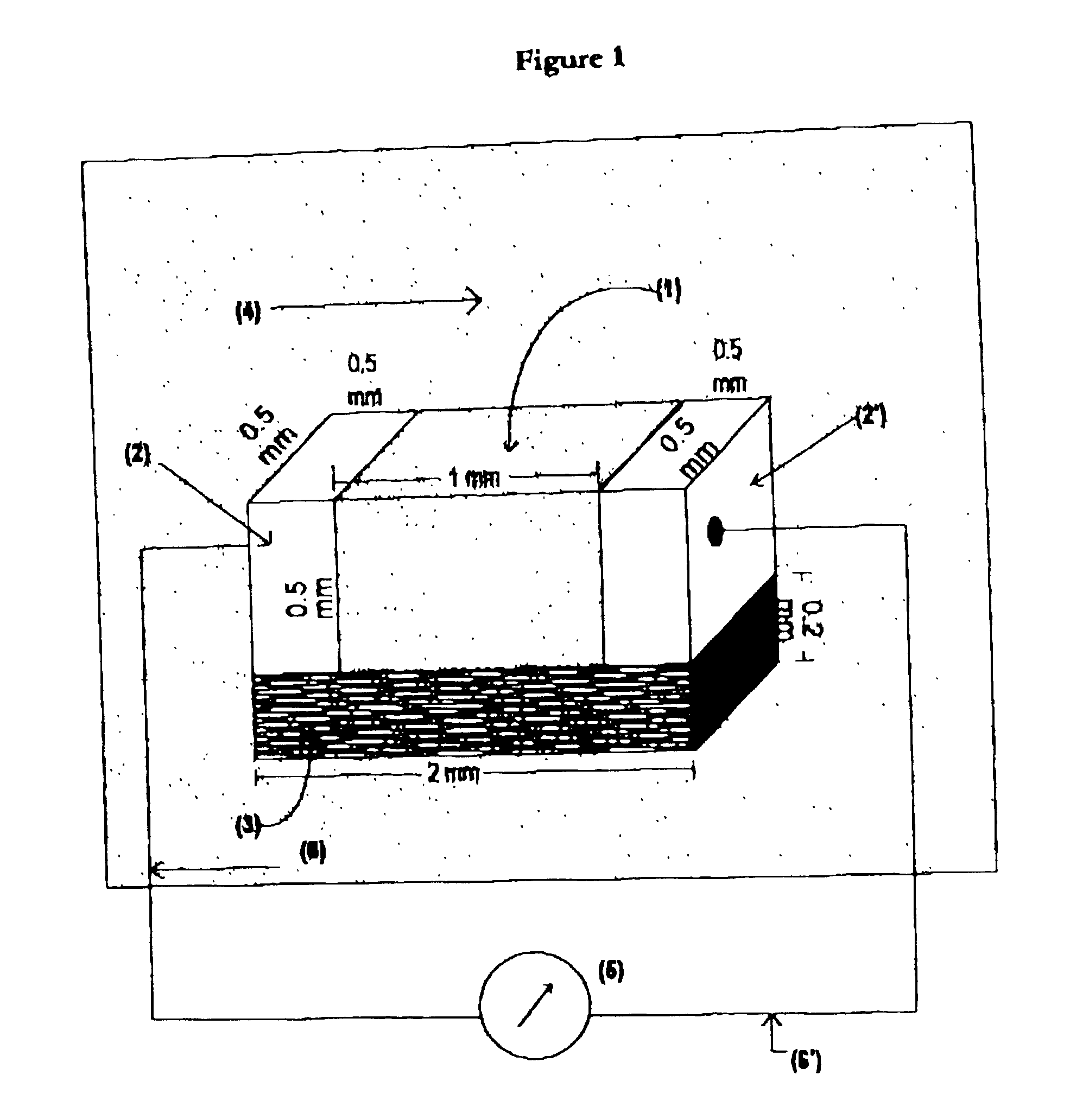 Carbon nanotube flow sensor device and method