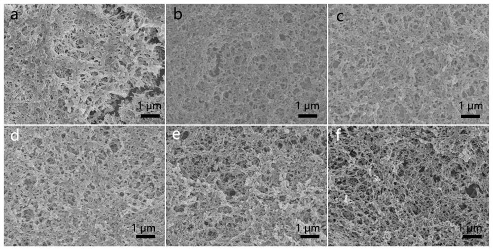 Covalent photo-crosslinking polypeptide, and collagen biomimetic material formed by self-assembly of covalent photo-crosslinking polypeptide