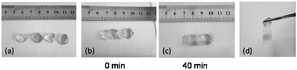 Preparing method for self-healing polysaccharide hydrogel